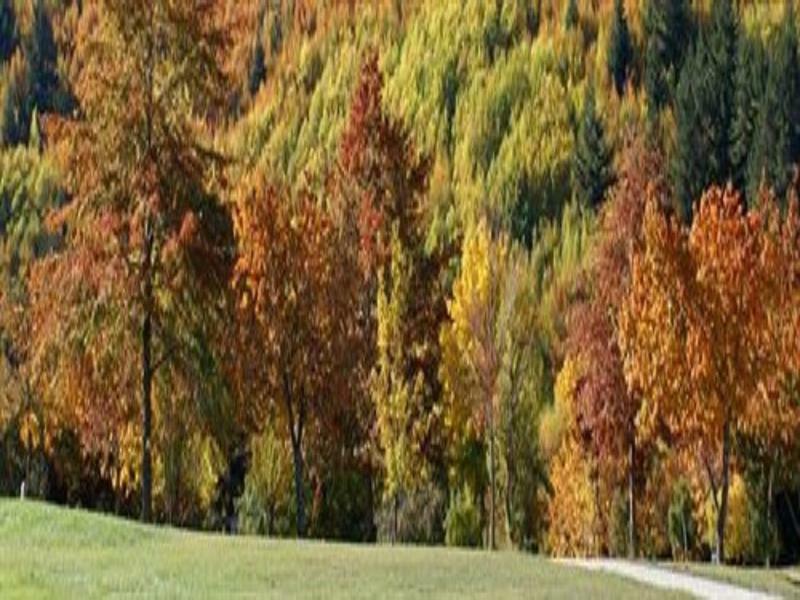 Hampshire Holiday Parks - ארואוטאון מראה חיצוני תמונה